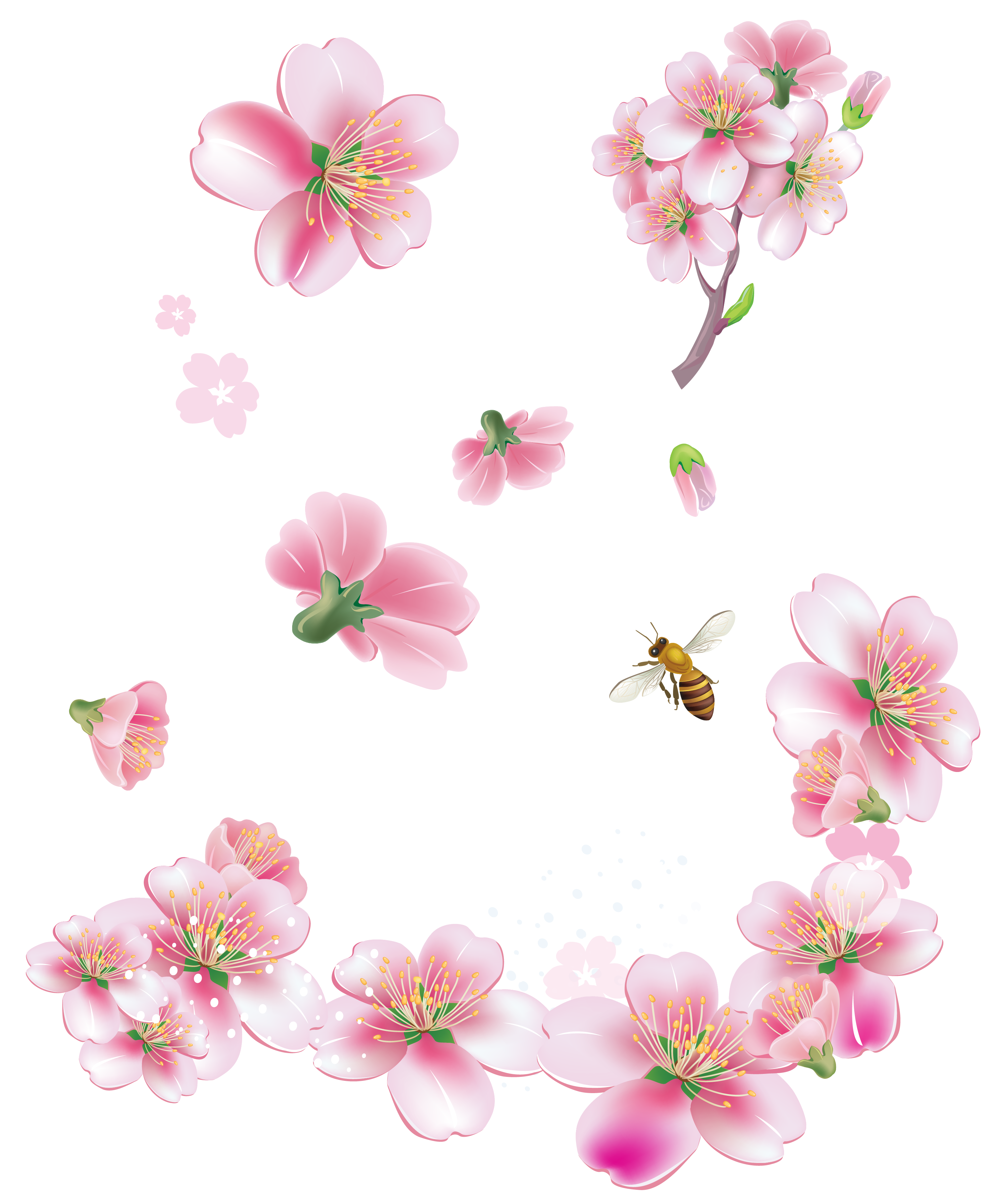 Hình ảnh hoa đào và đàn ong