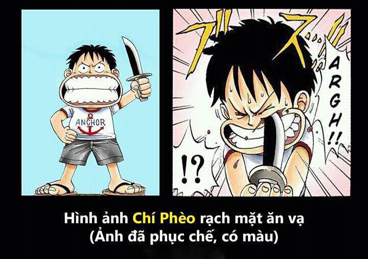 One Piece làm ảnh của luffy
