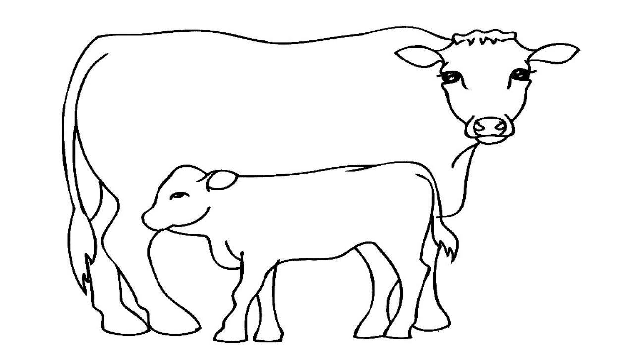 Tranh tô màu con bò đang uống sữa