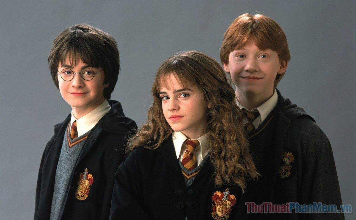 Harry Potter (từ năm 2001)