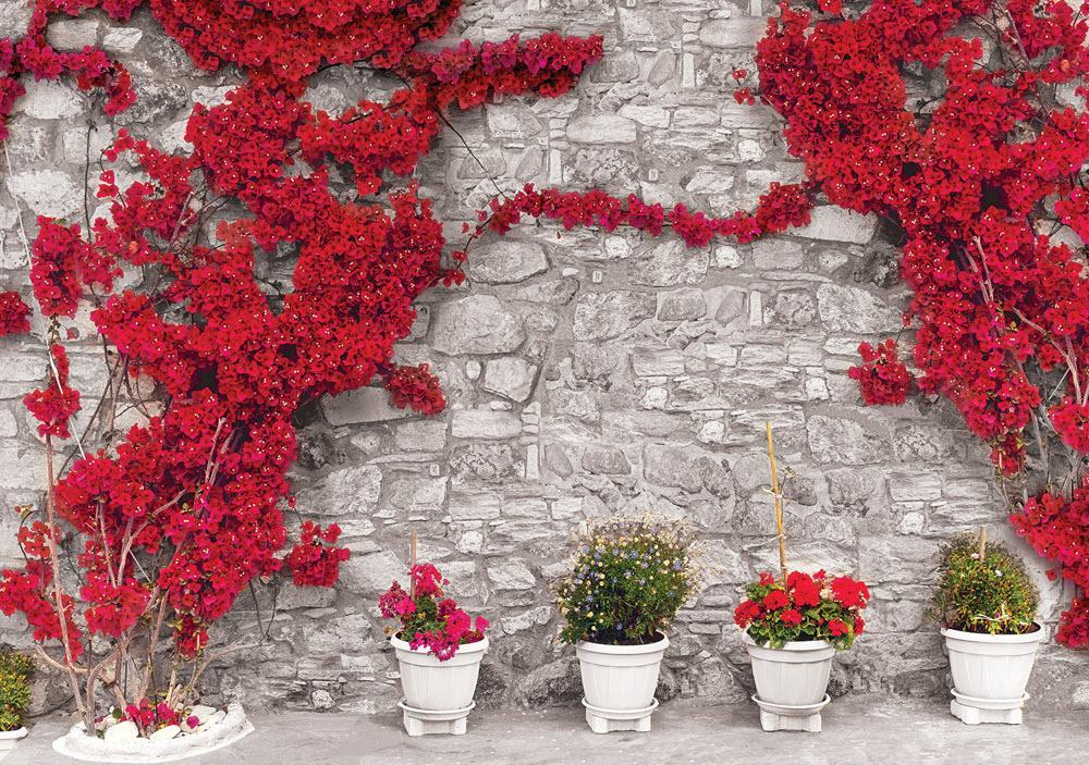Hình ảnh hoa giấy dán tường đẹp nhất