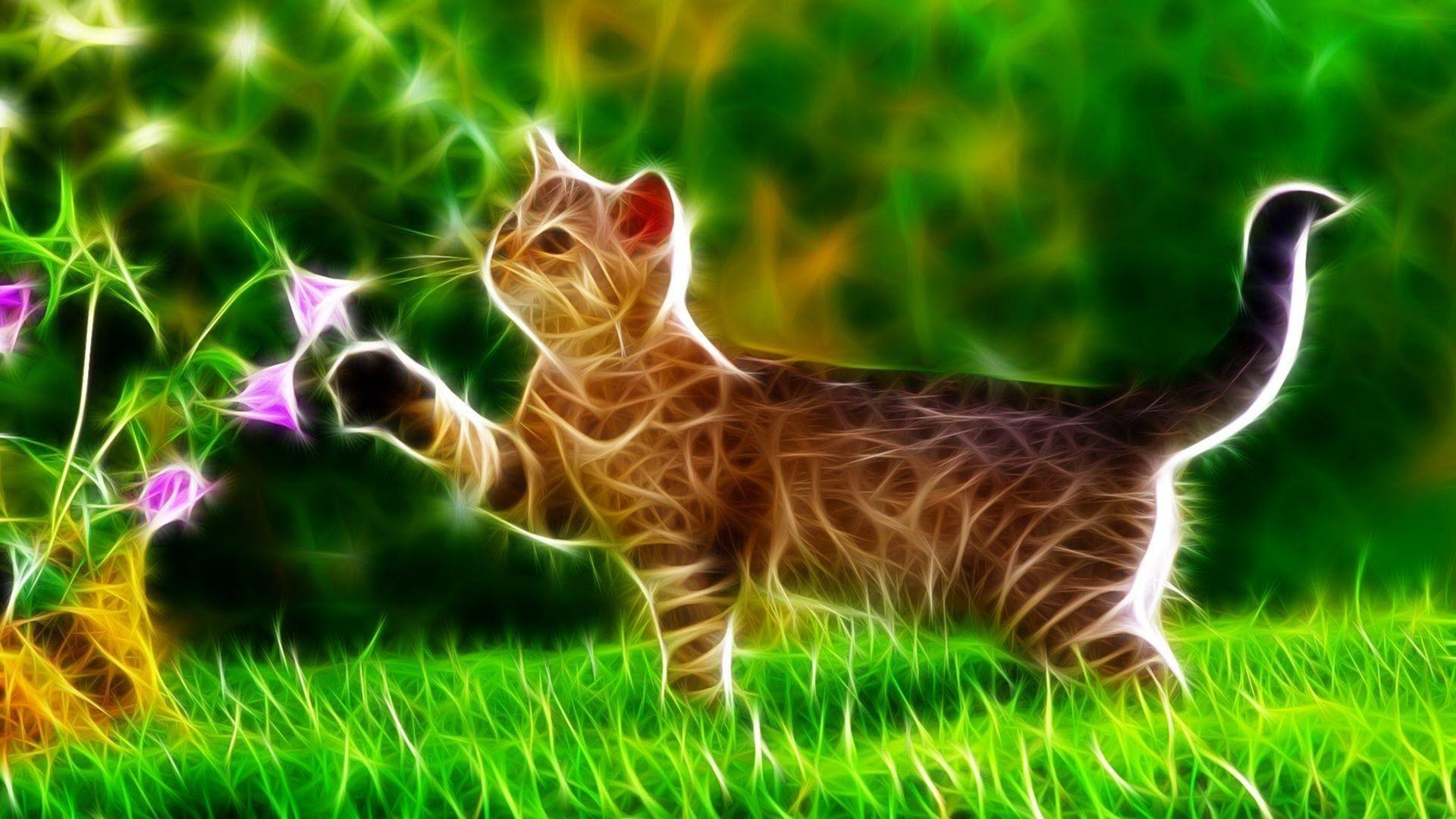 Hình nền mèo 3D cute đẹp nhất - Tải ảnh đẹp Free