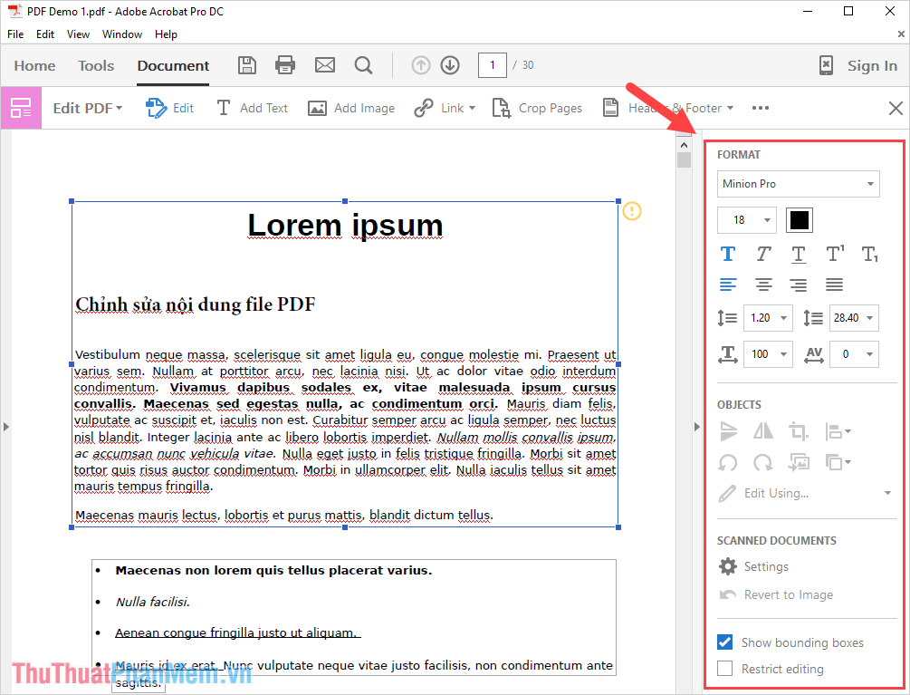 File PDF của bạn sẽ chuyển sang một trình soạn thảo văn bản tương tự như Word