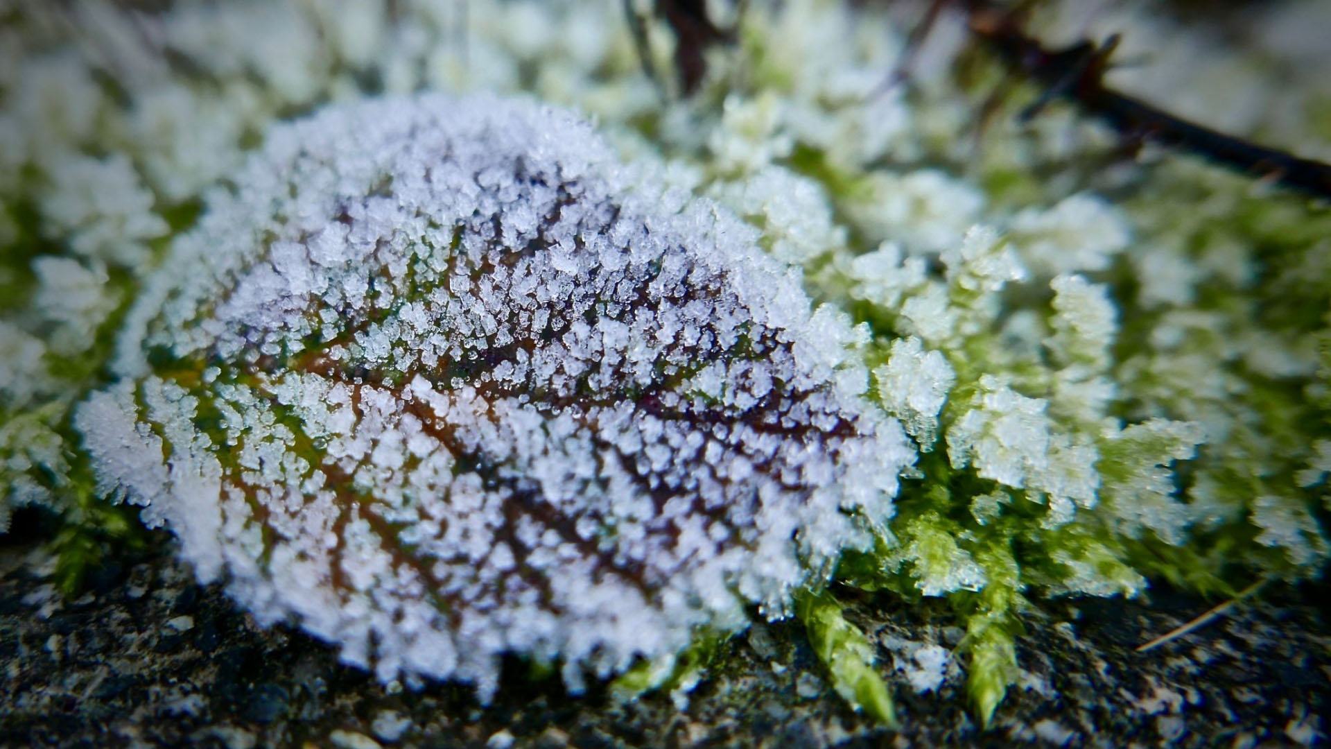 Hình nền mùa đông đẹp và độc đáo