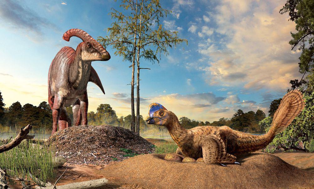 Hình ảnh khủng long Parasaurolophus