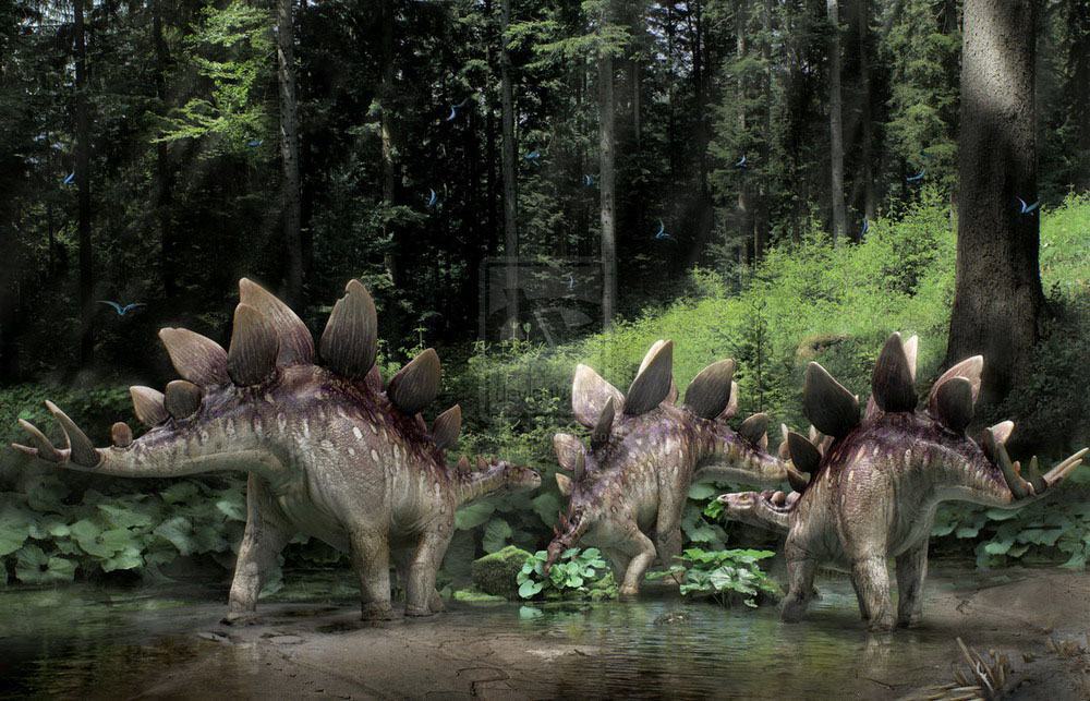Hình ảnh khủng long Stegosaurus