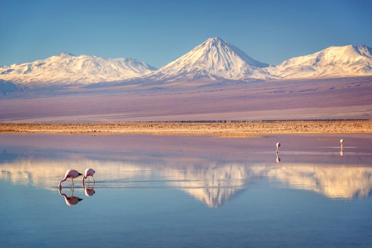 Hình ảnh cánh đồng muối đẹp nhất Nam Mỹ