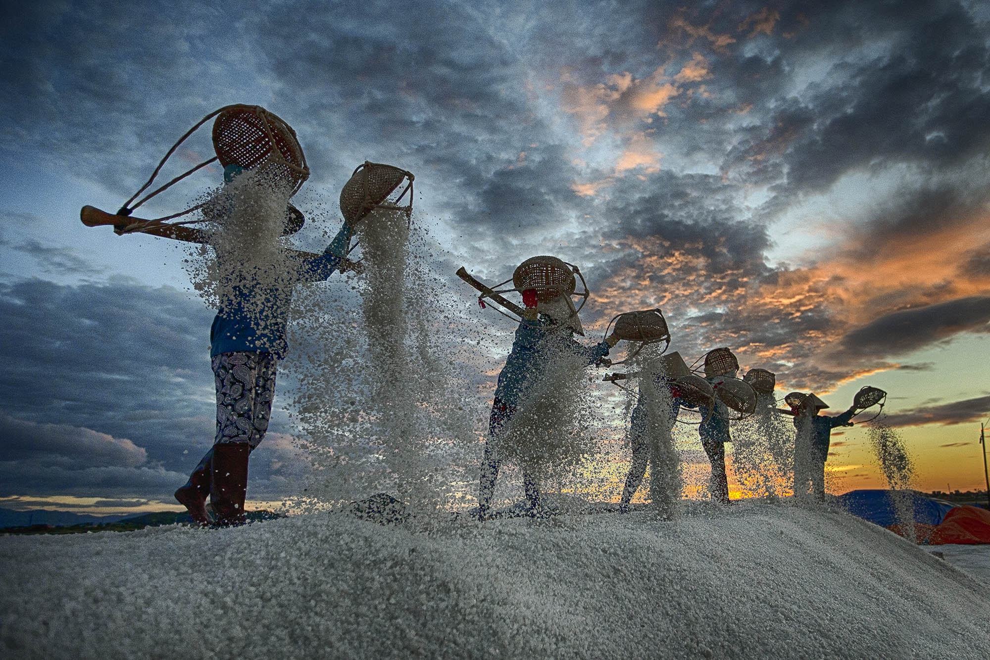 hình ảnh thu hoạch muối
