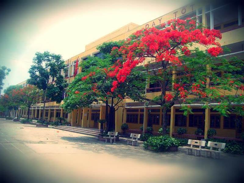 Hình ảnh hoa phượng trong sân trường THPT Quang Trung
