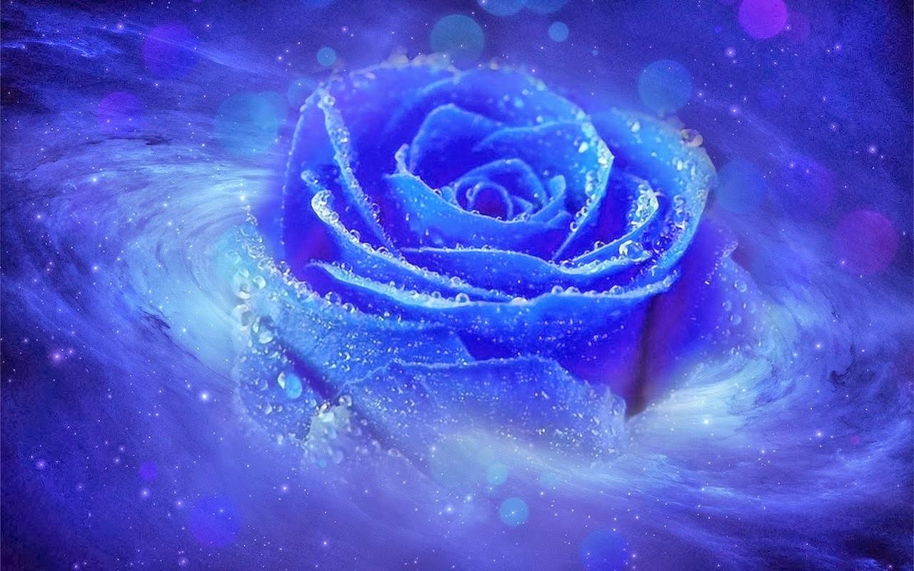 Hoa hồng xanh vũ trụ