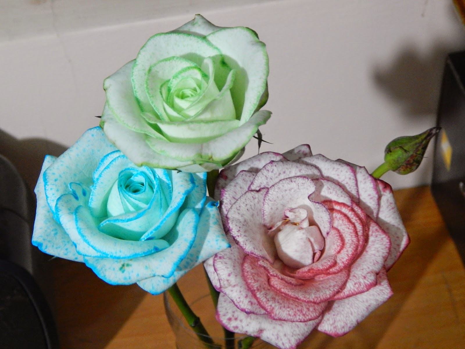 Hình ảnh hoa giả hoa hồng xanh