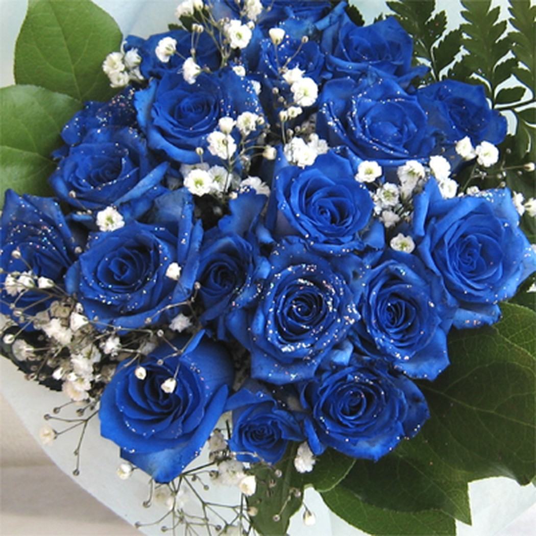 Hoa hồng xanh rất đẹp