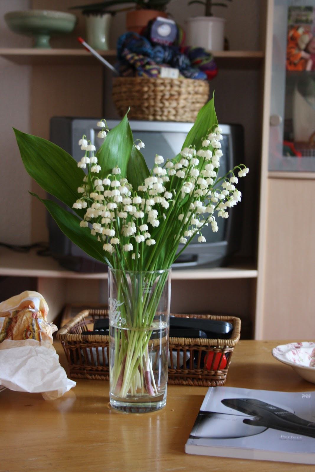 Hoa lan trong lọ thủy tinh trong nhà