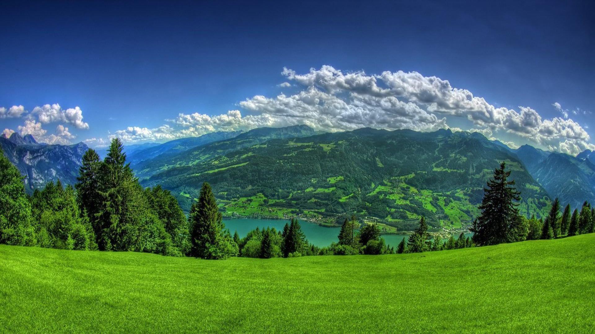 Hình ảnh núi rừng xanh thẳm