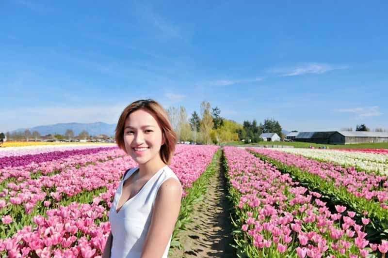 Cô gái Hà Lan trên cánh đồng hoa tulip