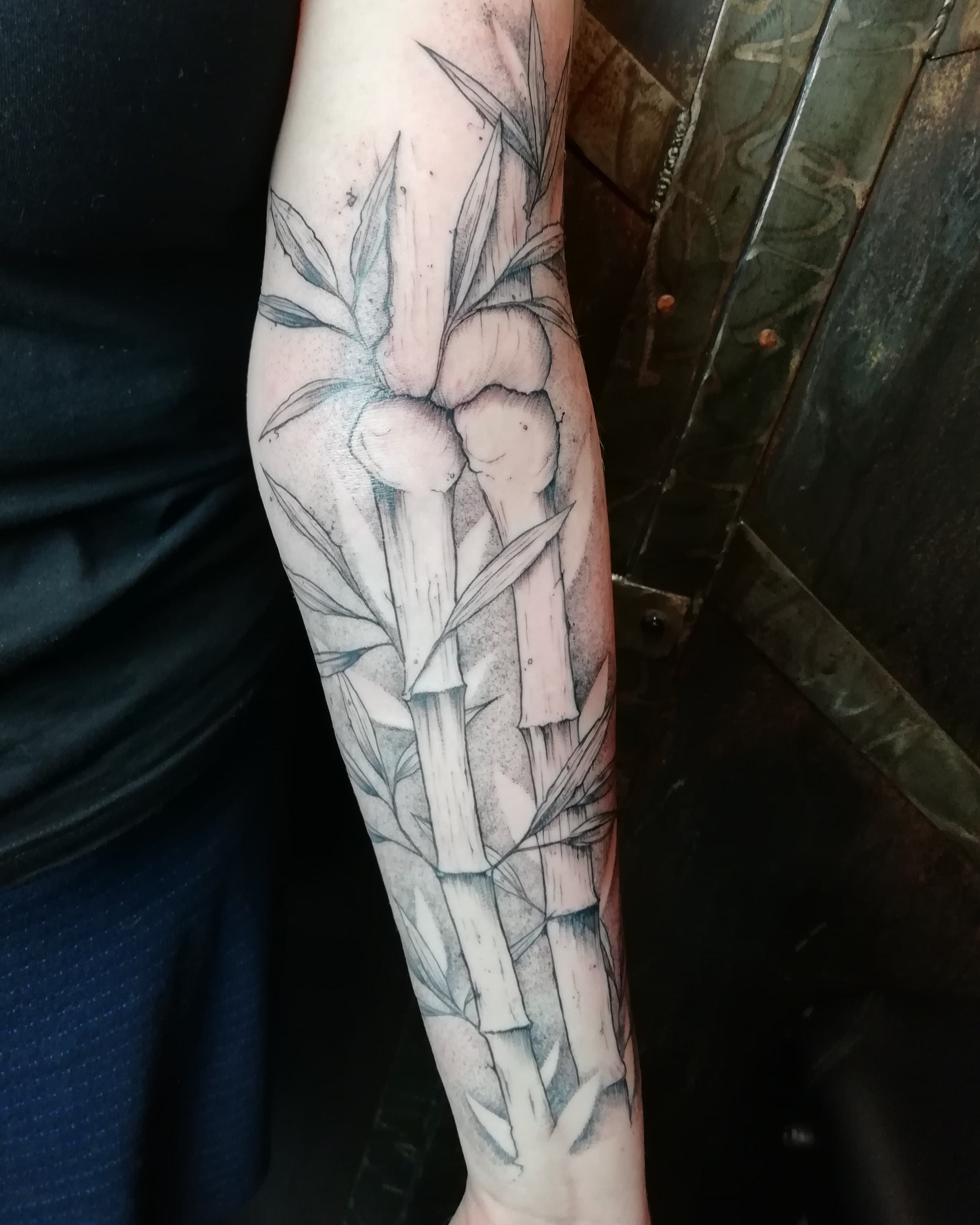 Hình xăm cây tre là  Minh Tú Tattoo  Xăm Hình Nghệ Thuật  Facebook