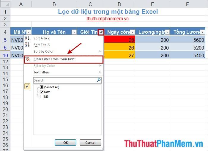 Lọc dữ liệu trong bảng Excel 4