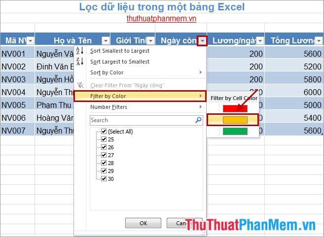 Lọc dữ liệu trong bảng Excel 7