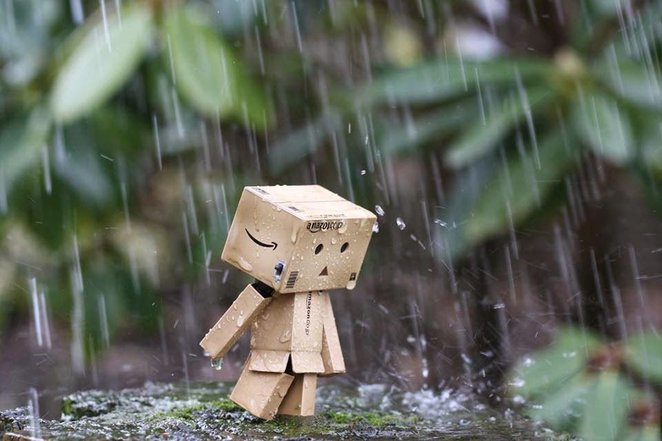 Người gỗ buồn đi dưới mưa