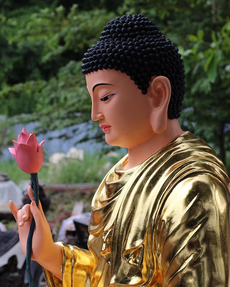 Ảnh Phật cầm hoa sen đẹp
