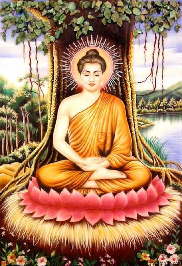 Hình ảnh Đức Phật ngồi dưới cội bồ đề