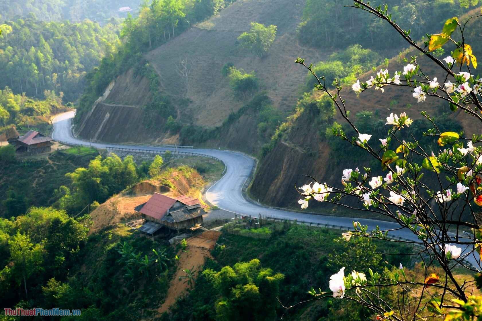 điện biên