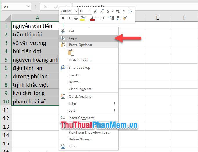 Sao chép hoặc sử dụng tổ hợp phím Ctrl C quen thuộc