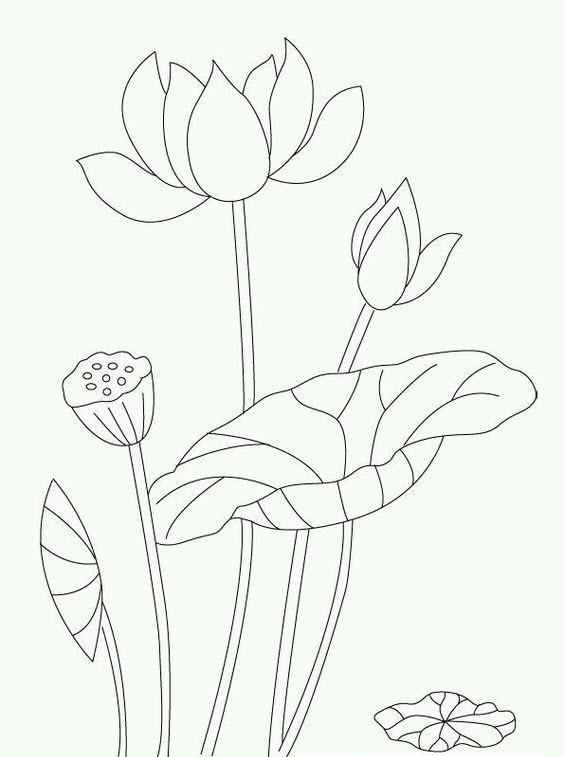50 Tranh tô màu hoa tulip xin tươi nhất dễ tải dễ in Update 2023