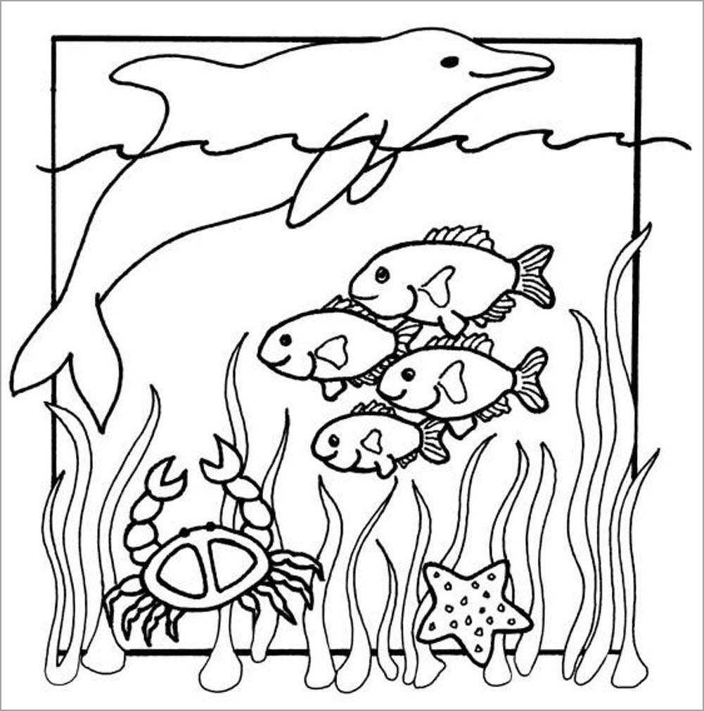 Cuốn sách tô màu con cá đẹp cho trẻ em