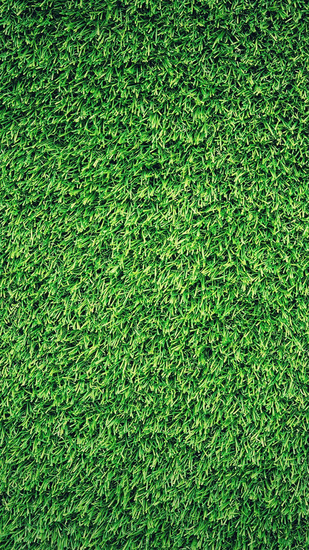 Hình nền cỏ xanh cho iPhone