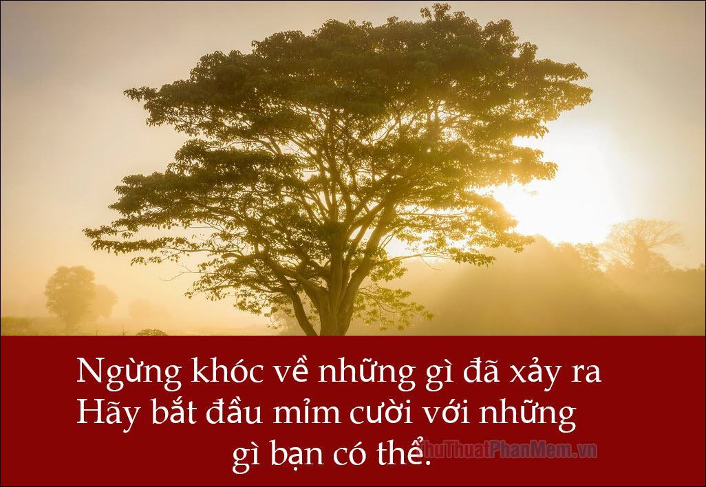 Ngừng khóc về những gì đã xảy ra, Hãy bắt đầu mỉm cười với những gì bạn có thể