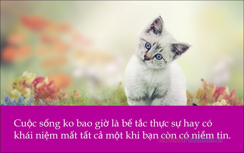 Cuộc sống không bao giờ là bế tắc thực sự hay có khái niệm mất tất cả chỉ cần bạn có niềm tin