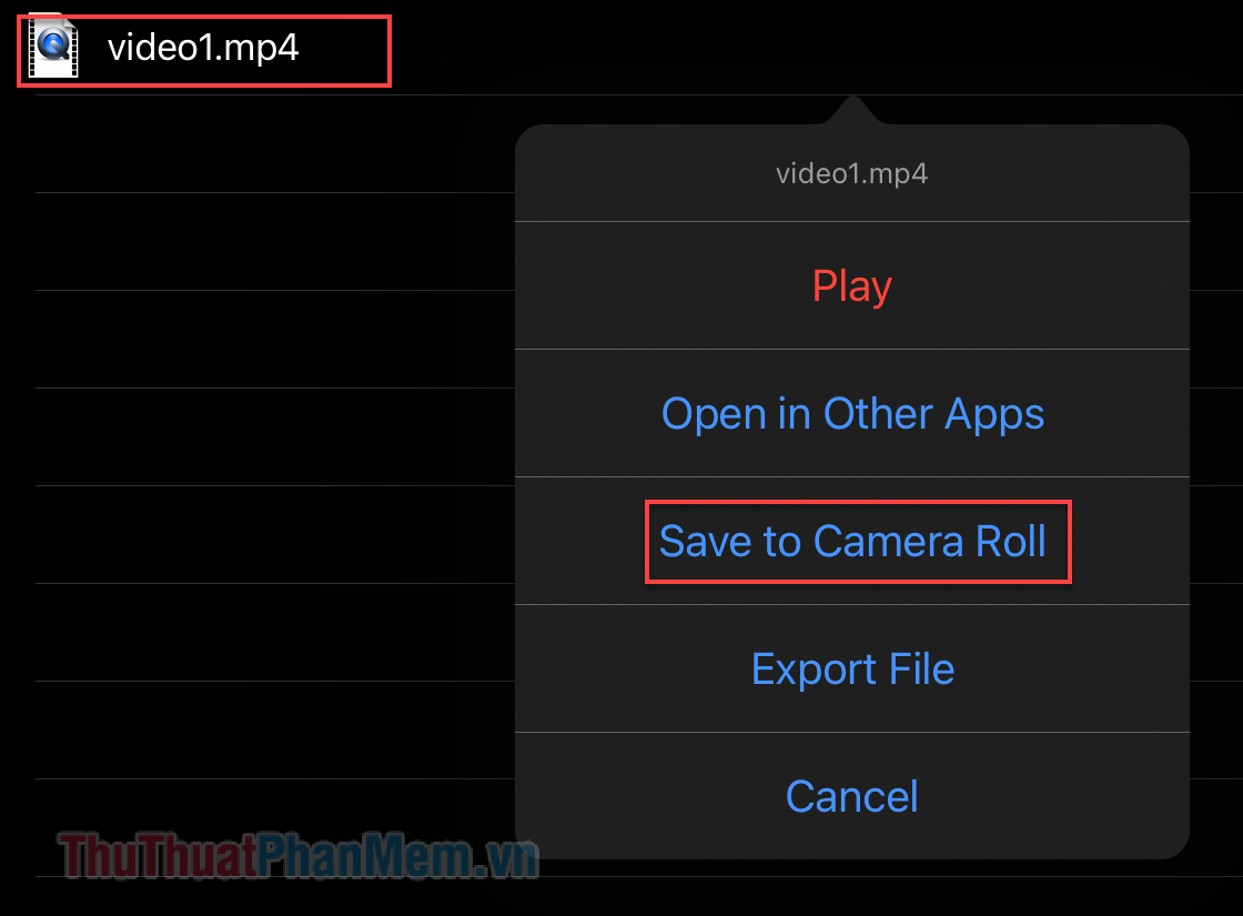 Chọn Save to Camera Roll để lưu video vào thư viện Photos