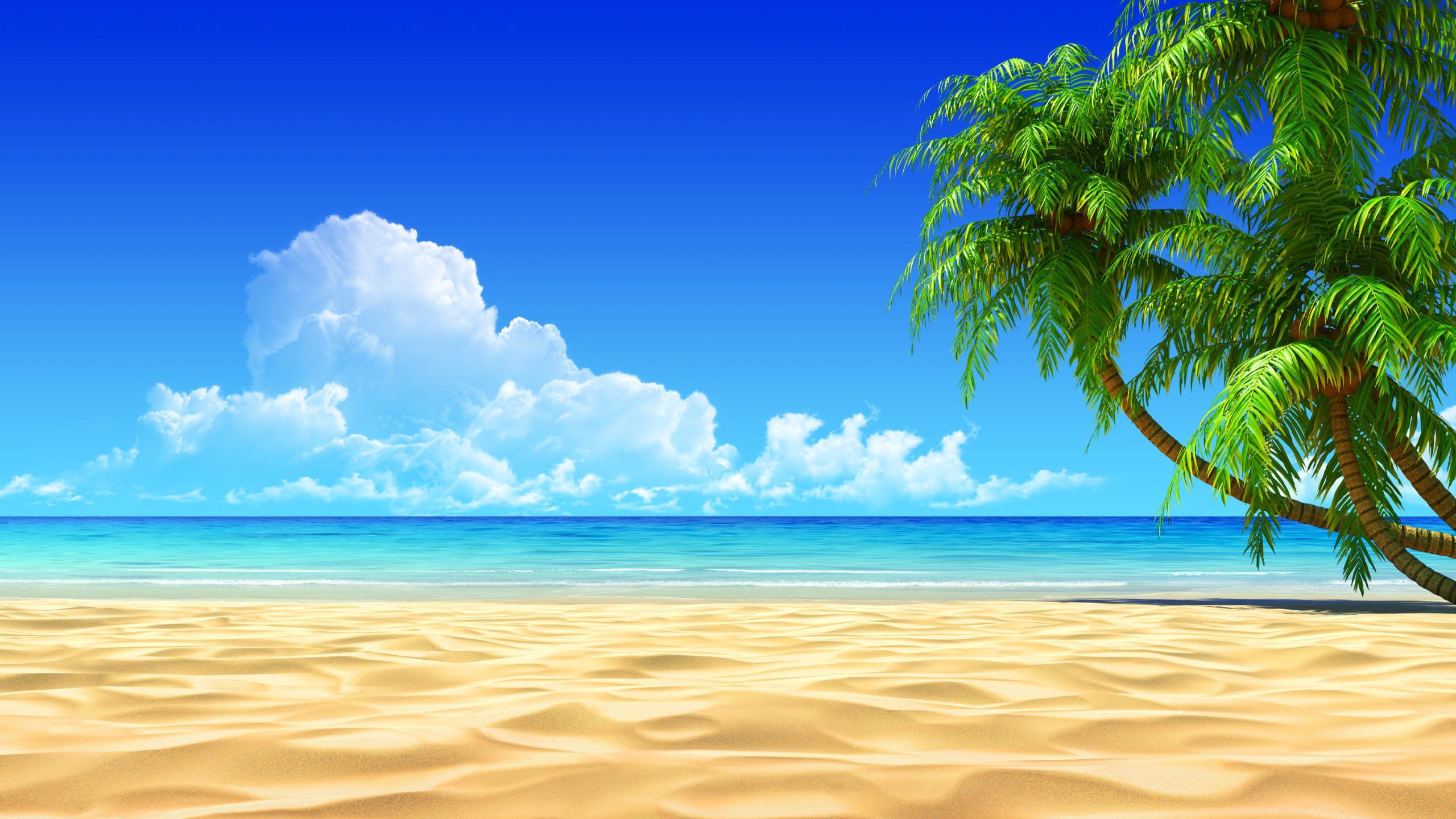 Hình nền laptop bãi biển xanh tuyệt đẹp