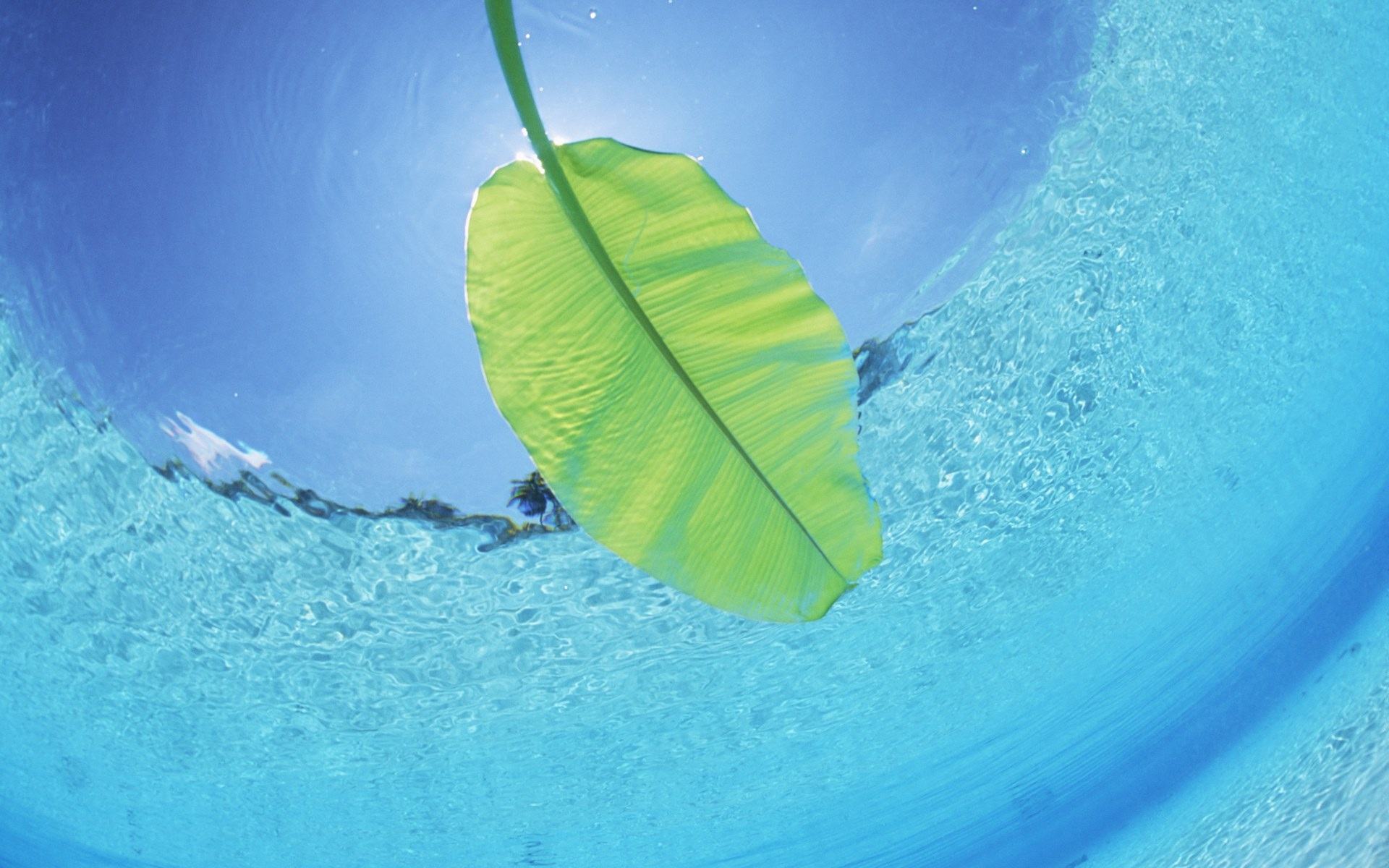 Hình nền laptop thuyền lá chuối dưới làn nước trong xanh tuyệt đẹp
