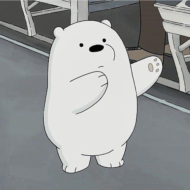 avatar gấu băng