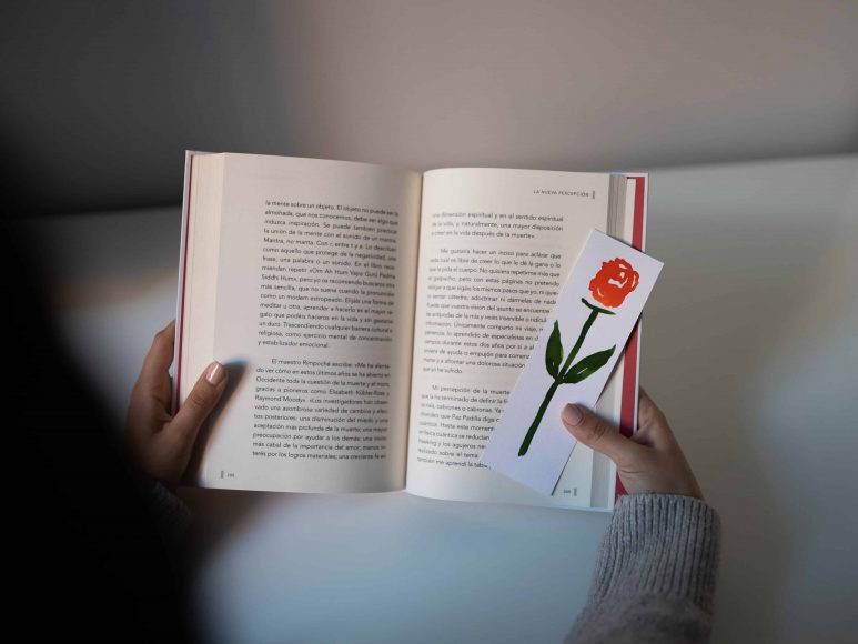 Hình ảnh của một cuốn sách mở và một khung với hoa hồng