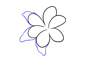 Cách vẽ hoa loa kèn, hoa loa kèn Bước 6