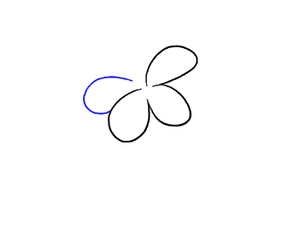 Cách Vẽ Hoa Loa Kèn Và Hoa Loa Kèn Bước 4