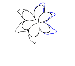 Cách vẽ hoa loa kèn, hoa loa kèn Bước 7