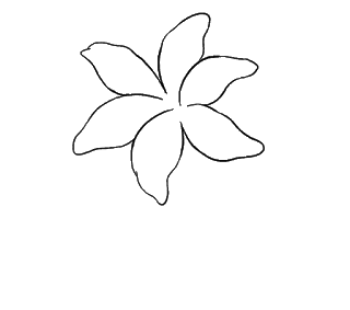 Cách vẽ hoa loa kèn và hoa loa kèn Bước 8