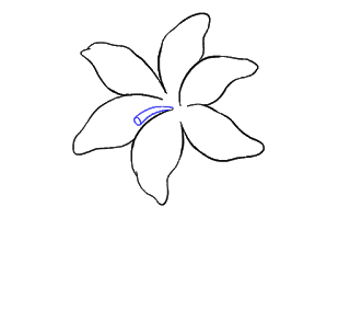 Cách Vẽ Hoa Loa Kèn Và Hoa Loa Kèn Bước 9