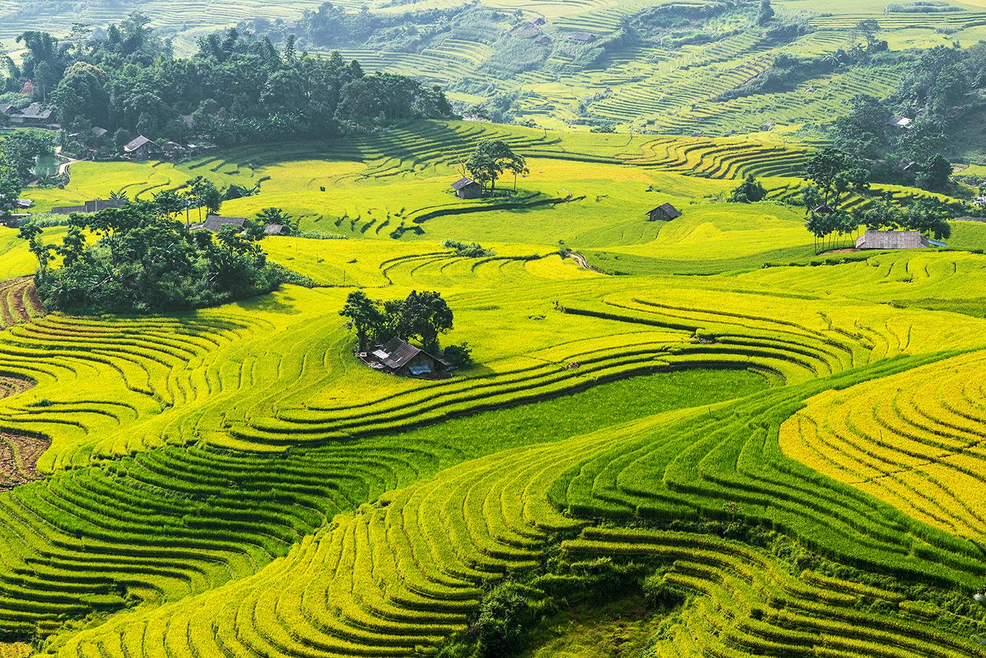 Tổng hợp hình ảnh quê hương đẹp nhất Ảnh đẹp Việt Nam