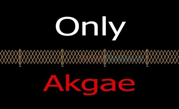 Akgae fan được rút gọn từ cụm từ akseong gaein paen