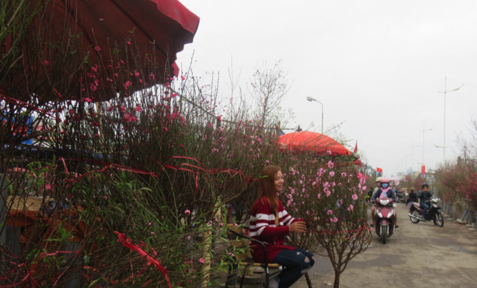 Địa chỉ bán hoa đào ngày Tết ở Việt Nam