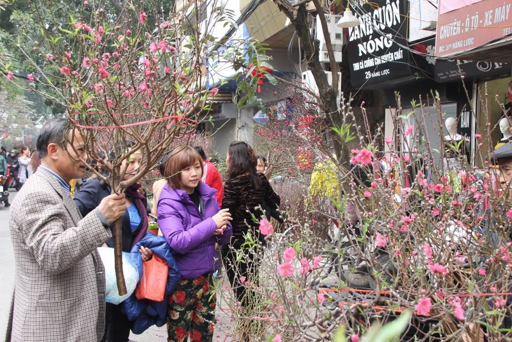 Người Việt tấp nập mua hoa đào ngày đầu năm