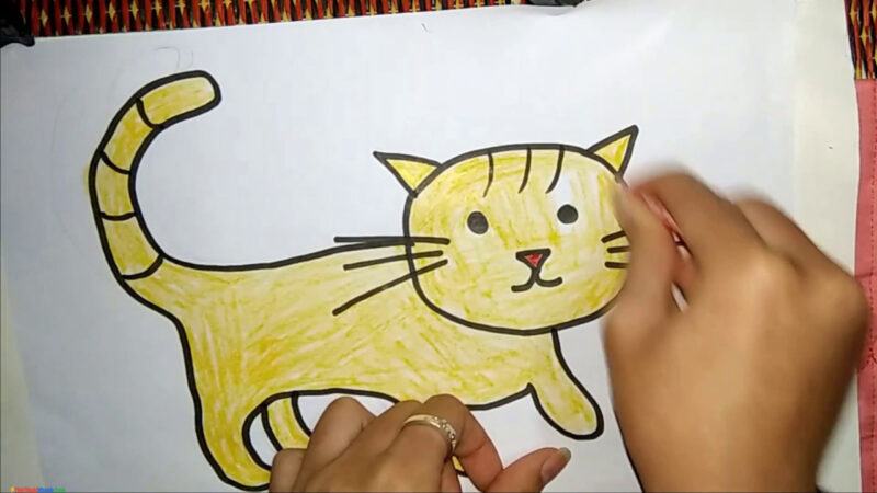 làm thế nào để vẽ một con mèo rất dễ dàng