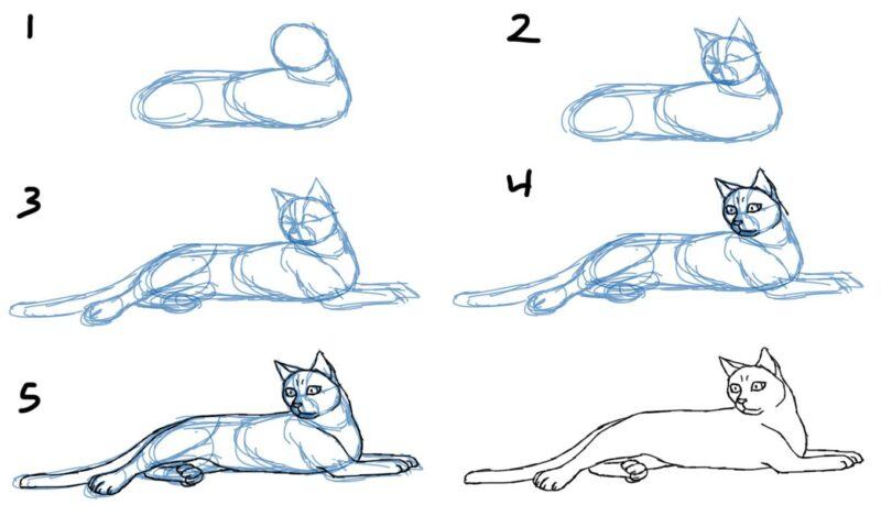 Cách Vẽ Một Con Mèo Thật