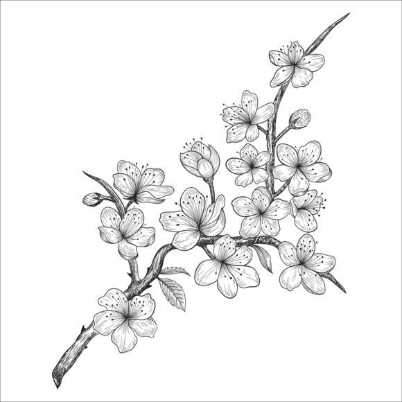 Nếu bạn muốn vẽ một bức tranh hoa độc đáo, hãy thử vẽ hoa mai bằng bút chì. Hãy xem hình ảnh này để có thêm ý tưởng và cảm hứng. Bạn sẽ rất ngạc nhiên khi biết được những bí quyết mà họa sĩ đã áp dụng để tạo ra bức tranh này.