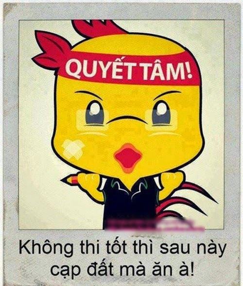 Bức ảnh quyết tâm học thi vừa đẹp vừa giỏi